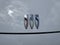 2024 Buick Envision Sport Touring